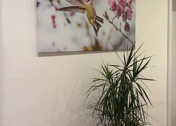 Schoenes Zimmer-4 In Stuttgart-mitte Homestay Stuttgart